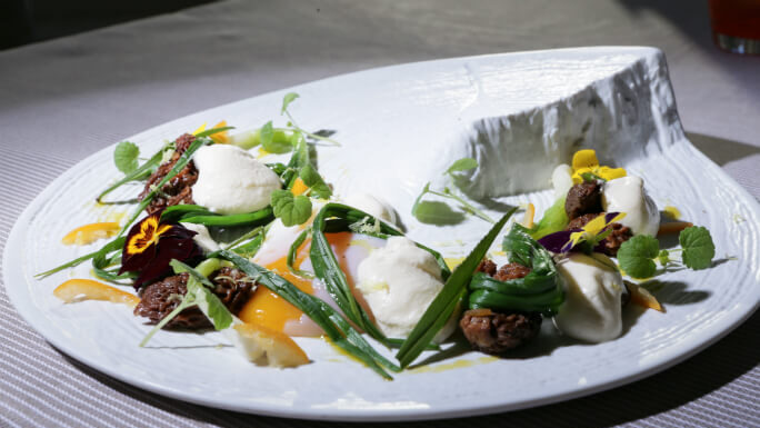 L’œuf cuit à basse température fricassée de morilles