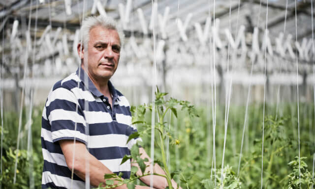 ÉRIC PEDEBAS – Le Tomatologue