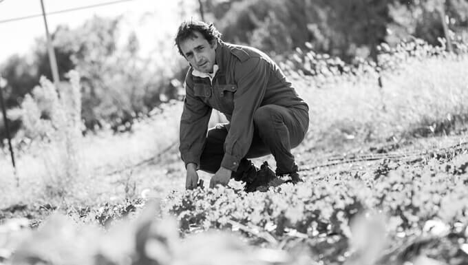 Jardins de Costebelle : les apprentis sorciers des légumes