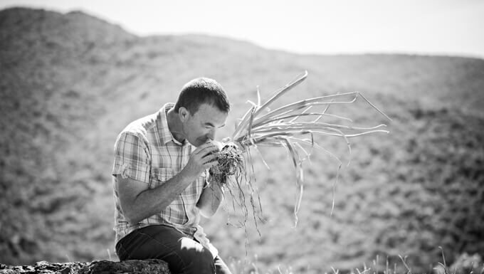Richard Fesquet L’oignon doux des Cévennes