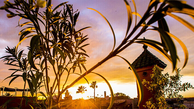 Marrakech : l'envoutante