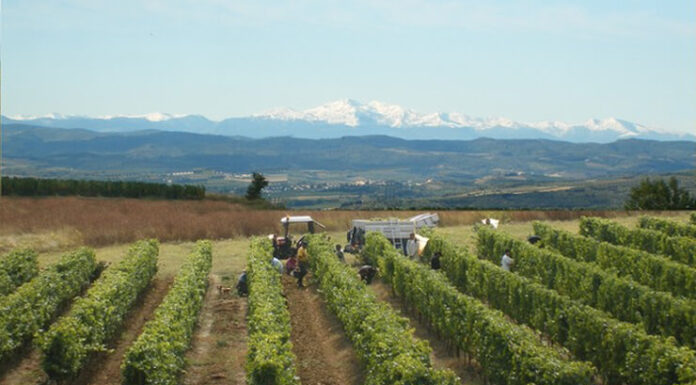 Château Rives-Blanques