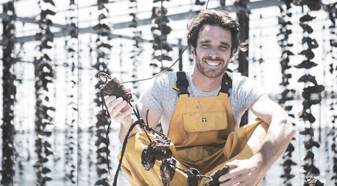 Tarbouriech : l'Huître Rose