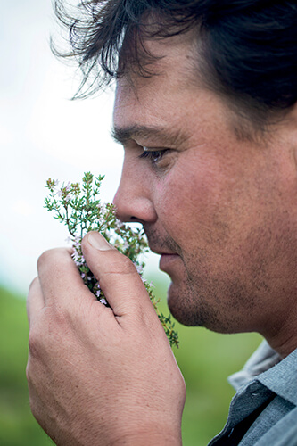 plantes aromatiques et médicinales