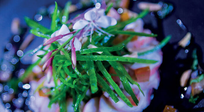 Rosace de poulpe, son rougail et ses mange-tout à la menthe et huile d’olives de Richard JUSTE