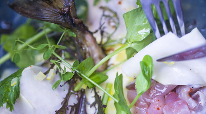 Tartare de maquereaux en raviole végétale, coriandre, crémeux de mirin, bouillon dashi et crabe vert de Frédéric HUSSER
