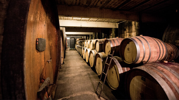 vigne vin et environnement