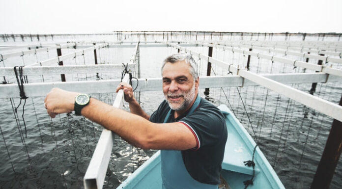 Patrice Breseghello : Un Néo-Ostréiculteur