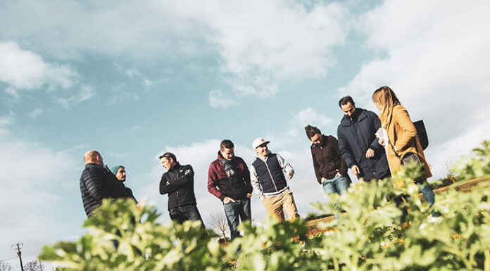 À la découverte du Pastis des Terres Libres