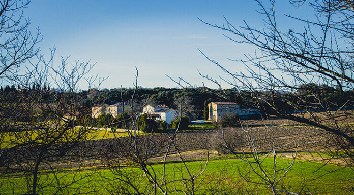 En Cévennes avec Denis Auzilhon