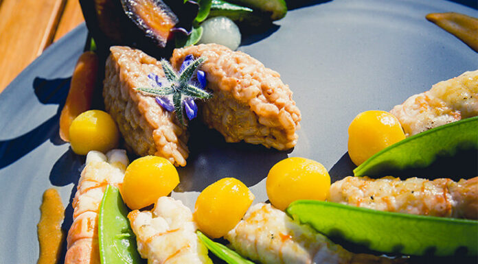 Langoustines poêlées, risotto chocolat au lait, légumes croquants et sauce lactée de Gérard CABIRON