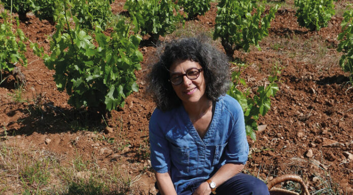 Clos de L'Anhel, ode à la biodiversité en terroir sauvage des Corbières