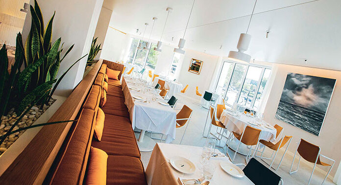 Dans les coulisses de l’Arbre Dans les coulisses de l'Arbre