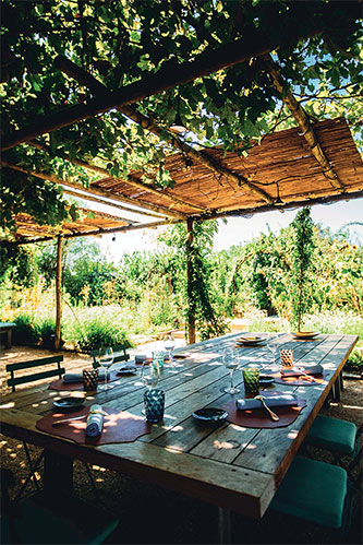 chassagnette-terrasse-bergerie-arles-camargues