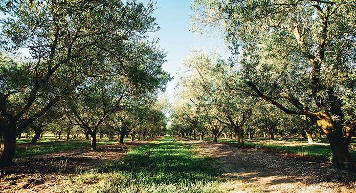La Vernède, le choix de la qualité