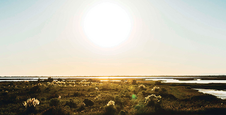 coucher de soleil camargue