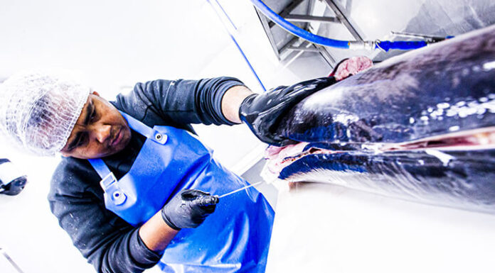 La Poissonnerie d'Agde Poissonnerie D'agde