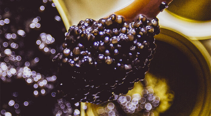 Frédéric René, Le caviar en héritage