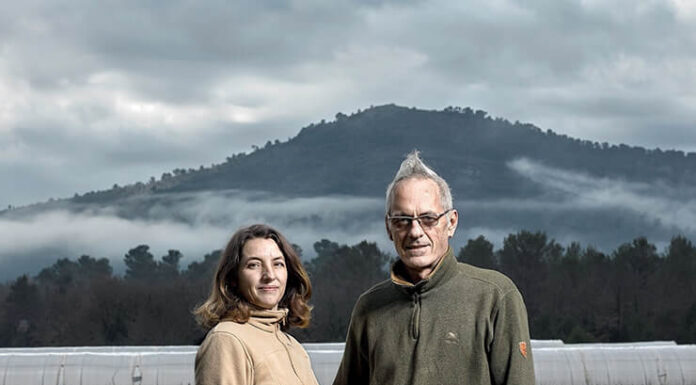 Bruno Cayron un maraîcher d'exception Bruno Cayron maraicher d'exception