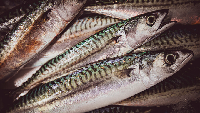 cote chic du poisson frais vendu en ligne