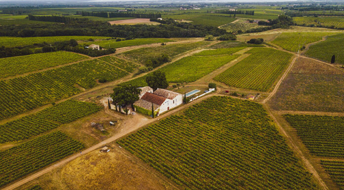 Mas Mellet Émilie & Brice Bolognini