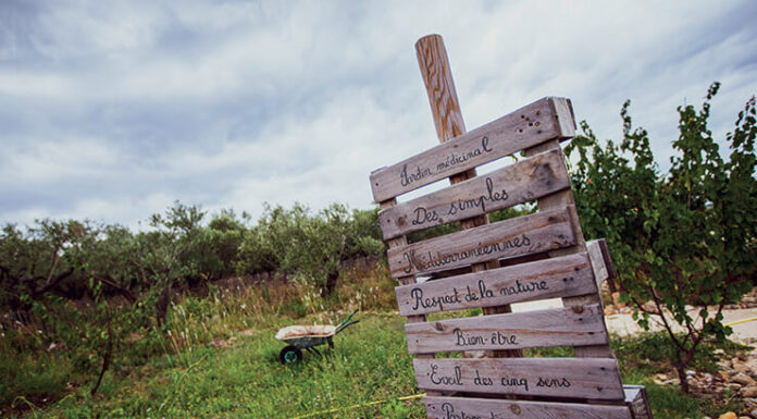 Pierre Viala – Permaculture à l’Oulivie