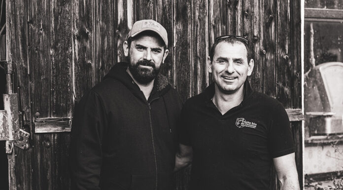 Frédéric et Laurent CAMPLO