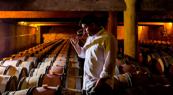 Domaine Daumas Gassac