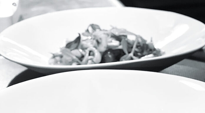 Calamars de méditerranée, avec son bouillon végétal et ses aromates de garrigue, de Carole SOUBEIRAN