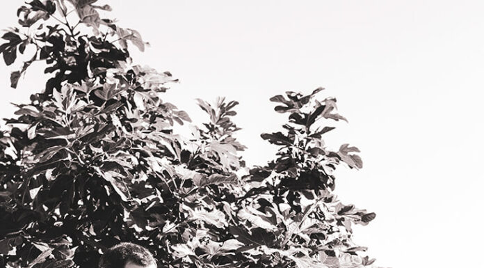 Sébastien Fernandez et Cédric Cartoux