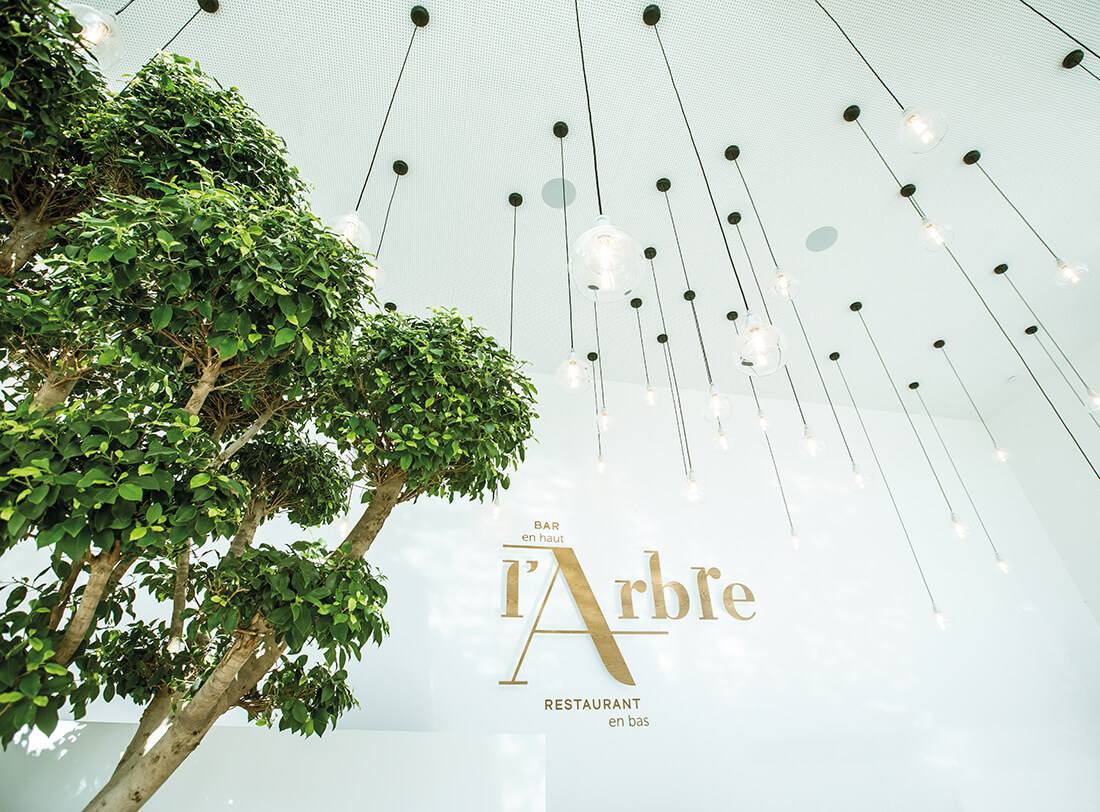 Restaurant "L'Arbre" de "L'Arbre Blanc" à Montpellier.