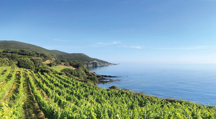 Vin d’ailleurs… La Corse