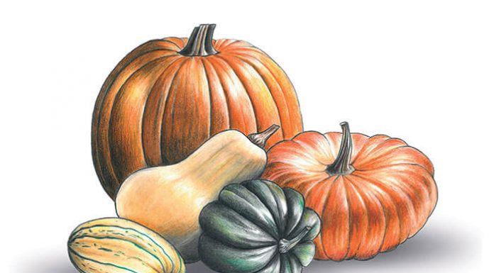 Espèce de CUCURBITACÉES ! Chefs-doc-la-courge