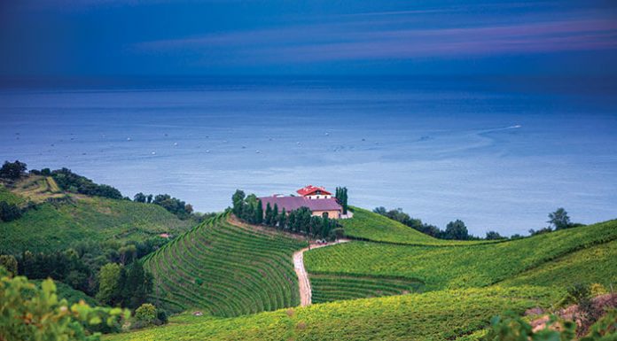 Vins d’ailleurs… Le Pays Basque vin-pays-basque