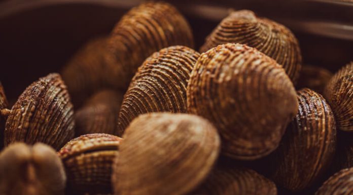 Patrice BRESEGHELLO, L’ostréiculteur restaurateur Patrice_Breseghello_Guilhem