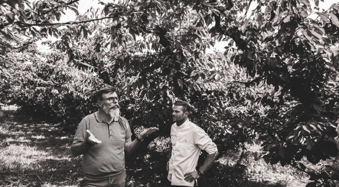 Les vergers de Saint-Jean, Des fruits au fil des saisons Vergers Saint-Jean