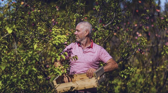 Jean-Claude CAPO, Des fruits et des légumes de saison Jean-Claude CAPO, Des fruits et des légumes de saison