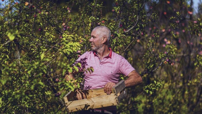 Jean-Claude CAPO, Des fruits et des légumes de saison