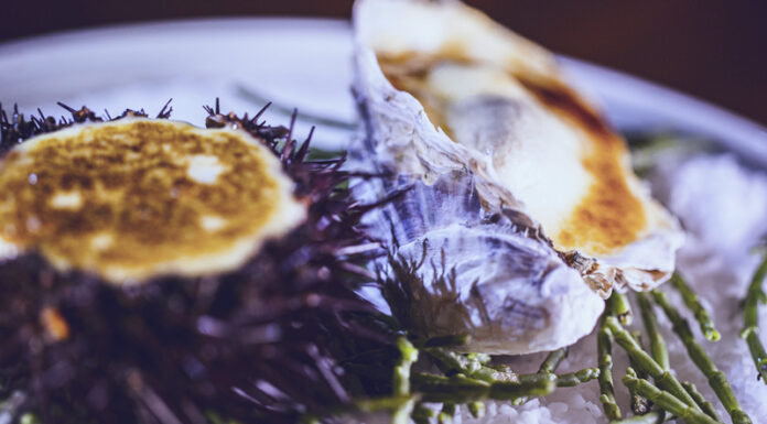 Huîtres et oursins au gratin de champagne BY Jacques & Laurent POURCEL