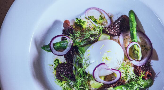 Œuf mollet, risotto de céleri et asperges, morilles au vin de Maury BY Eric CELLIER Chefs d'Oc, magazine épicurien, numéro 26, printemps 2023