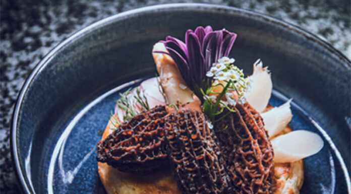 Asperges blanches et morilles cuites au thé bergamote, blinis, émulsion de lait de soja, aneth et citron vert BY Guillaume DESPONT Chefs d'Oc, magazine épicurien, numéro 26, printemps 2023