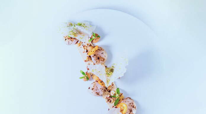 Gravlax de noix de Saint-Jacques, noisettes du Lot et kumquat, poivre de verveine BY Charles FONTES Chefs d'Oc, magazine épicurien, numéro 26, printemps 2023