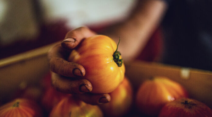Les jardins de Pézenas, Florent BELLE ALBARET Chefs d'Oc, magazine épicurien, numéro 27, été 2023