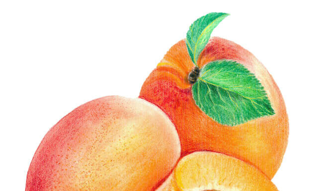 L’abricot, La Diva de l’été ! Chefs d'Oc, magazine épicurien, numéro 27, été 2023