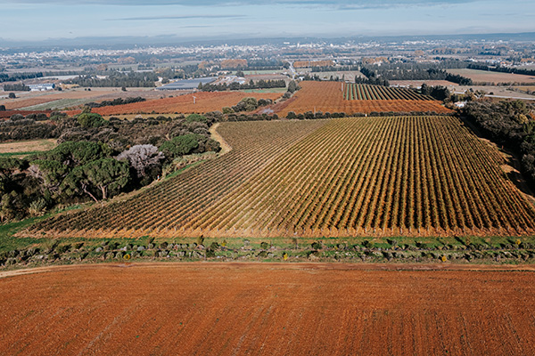 Chefs d'Oc, magazine épicurien, numéro 29, hiver 2024