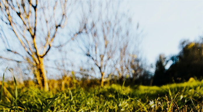 La cure gourmande, entre tradition et innovation Chefs d'Oc, magazine épicurien, numéro 29, hiver 2024