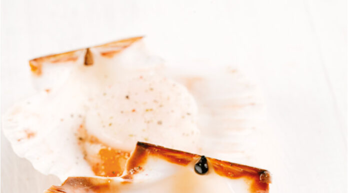 La Coquille Saint-Jacques Trésor marin, star des papilles ! Chefs d'Oc, magazine épicurien, numéro 29, hiver 2024