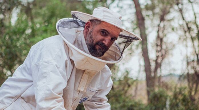 Les Butineuses, les abeilles de Thomas Bonnet avec le Chef Clément Gely