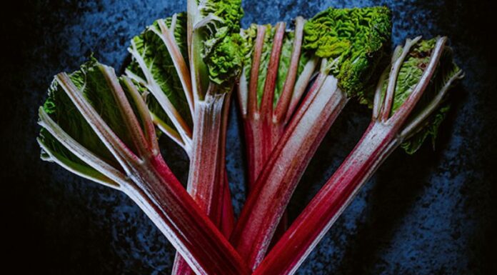 La Rhubarbe, la rebelle au cœur tendre