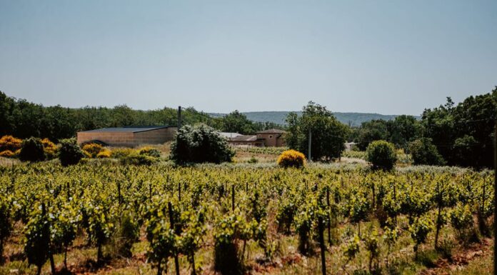 Le Mas des Agrunelles